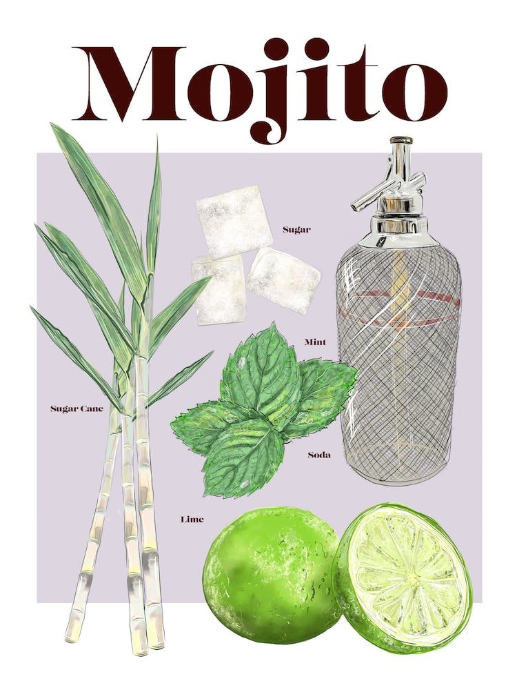 Mojito Cocktail