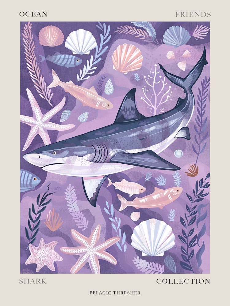 Purple Pelagic Thresher Shark Illustration Poster