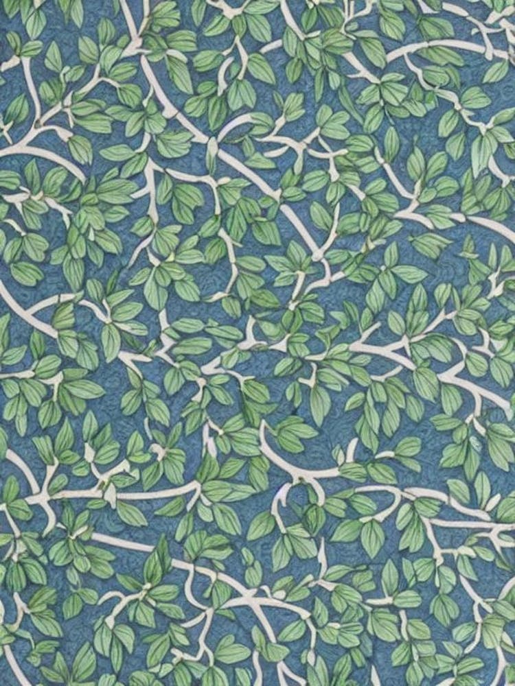 Juniper tree Vintage 2 Botanical