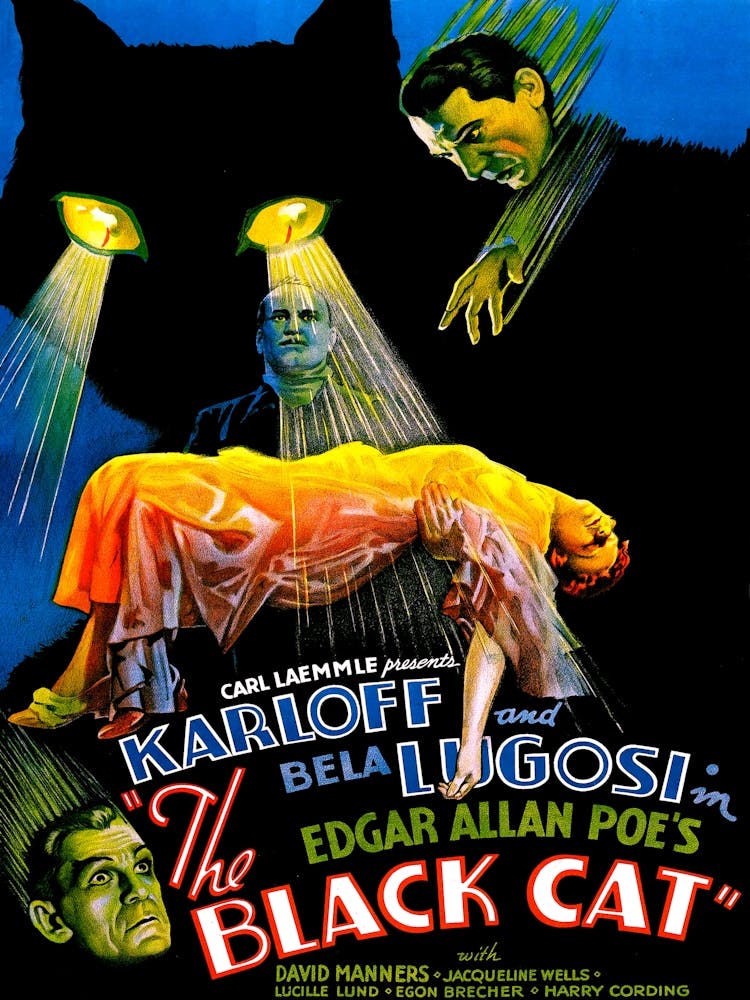 The Black Cat Classic Horror Movie Poster