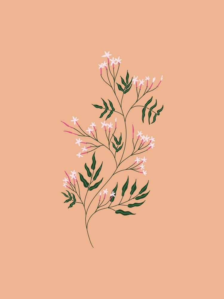Chinese Gardenia Orange Pastel