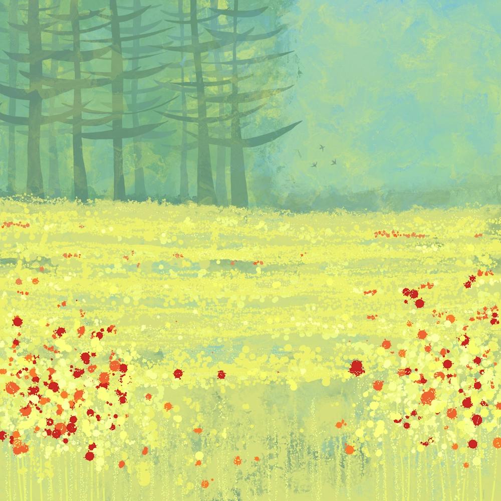 Meadow near Perigeueux in France