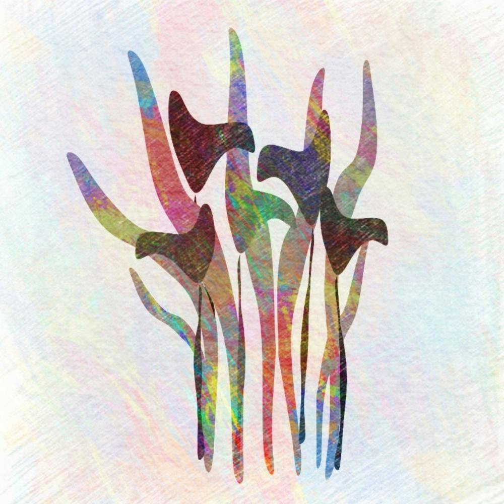 Calla Lilies Collage