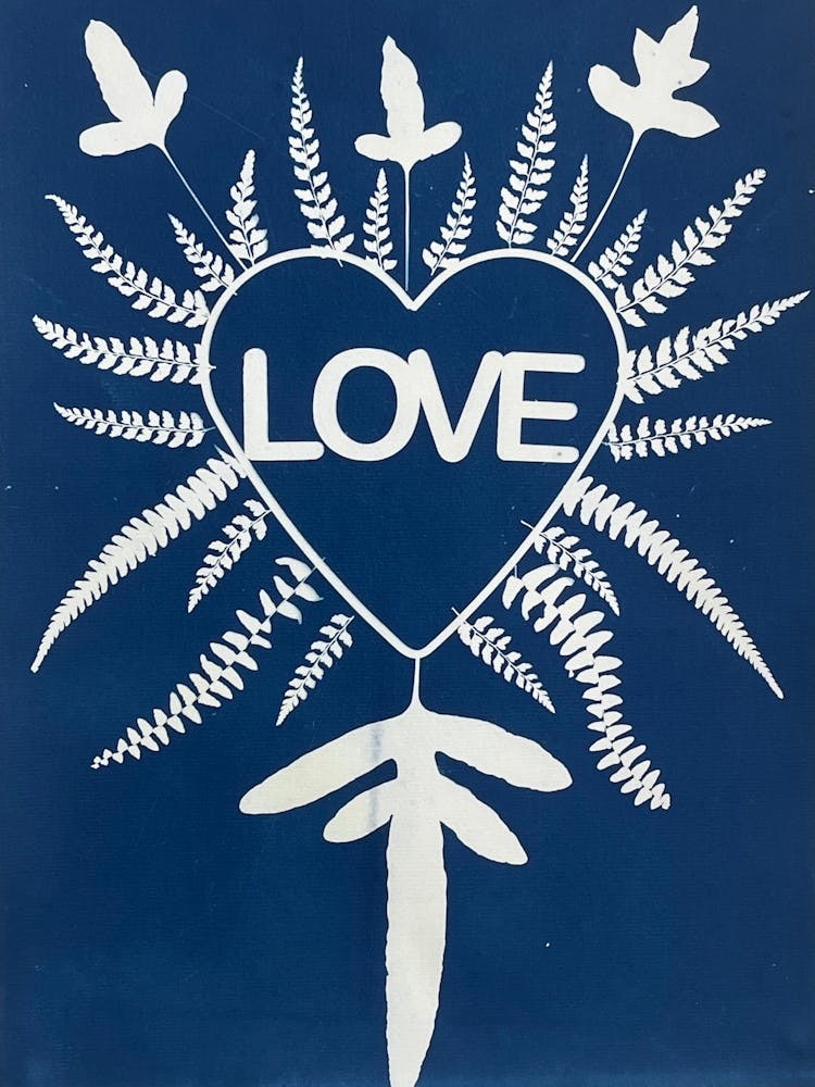 Love Ferns