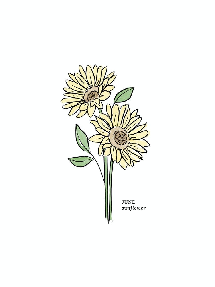 June Sunflower Birth Flower