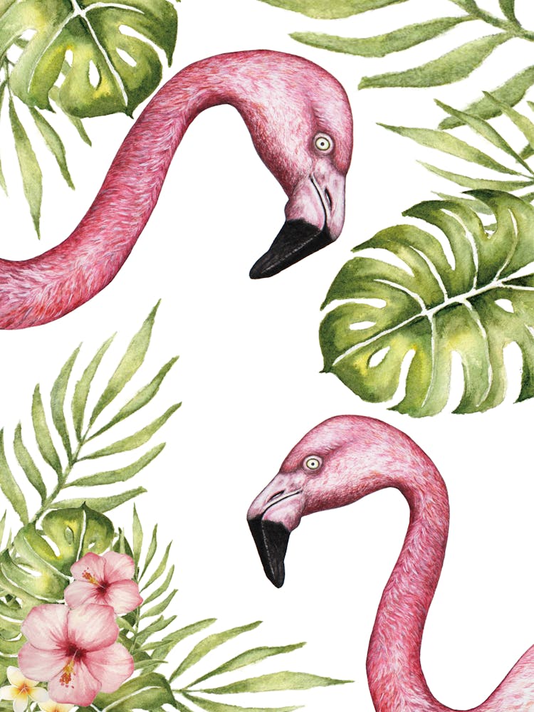 Pink Flamingos 3
