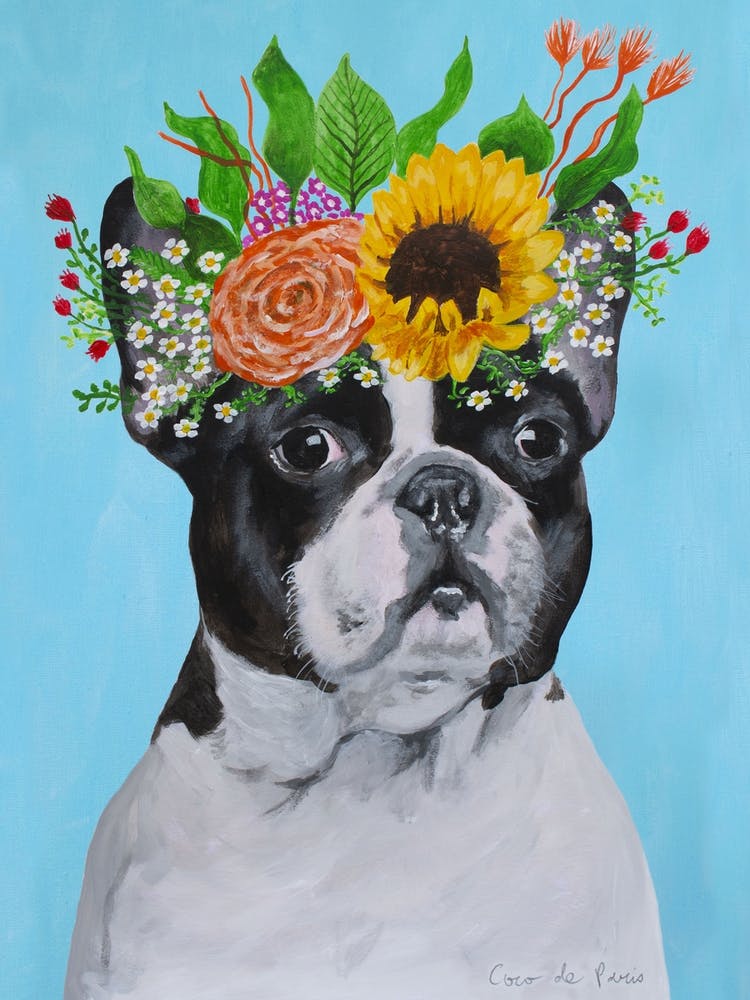 Frida Kahlo French Bulldog