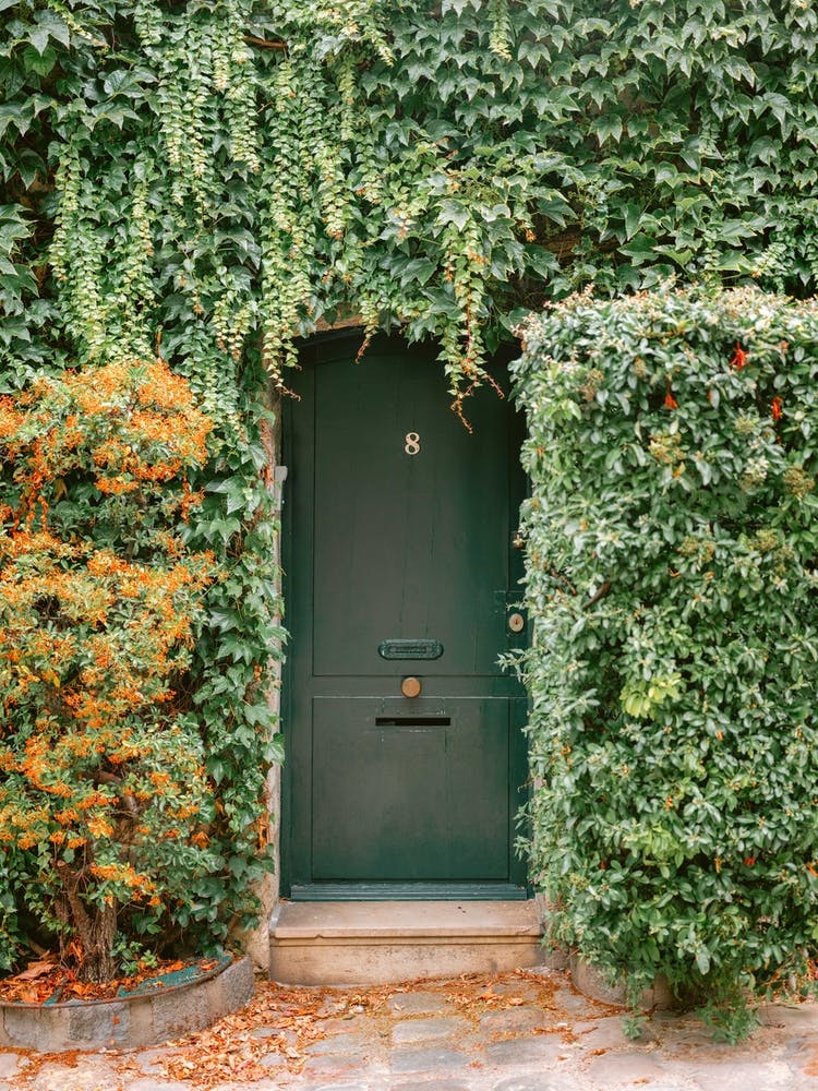 Ivy Covered House In Montmartre Paris