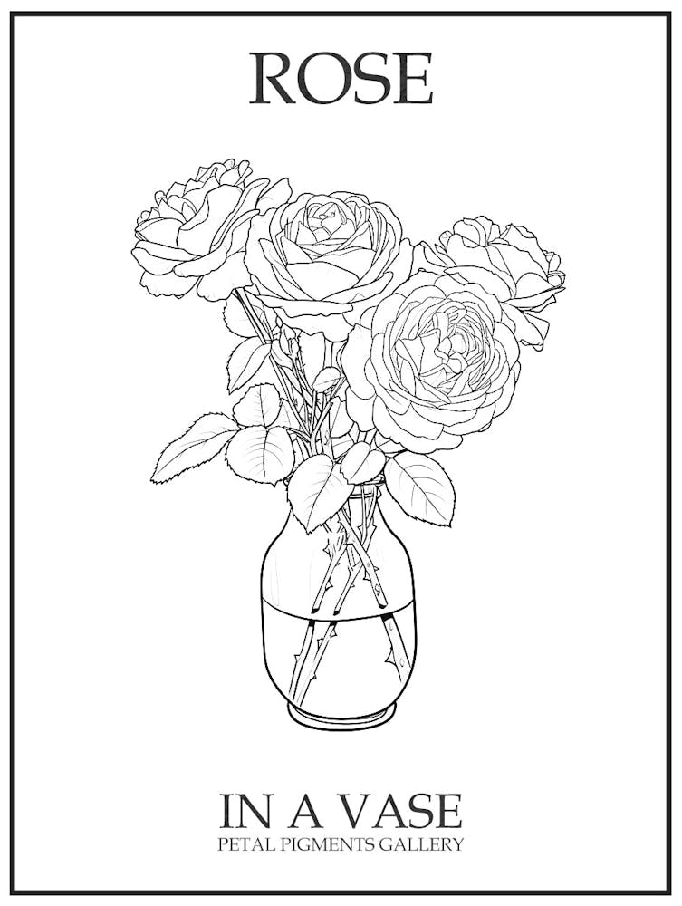 Rose In A Vase Line Drawing 5 Poster