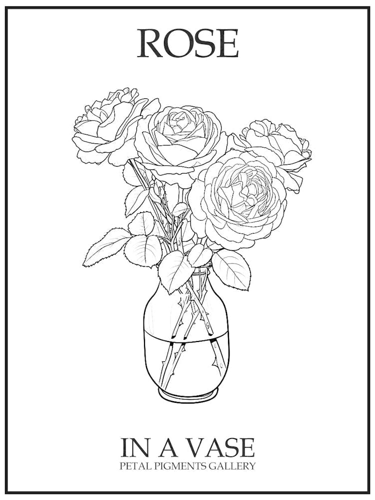 Rose In A Vase Line Drawing 5 Poster