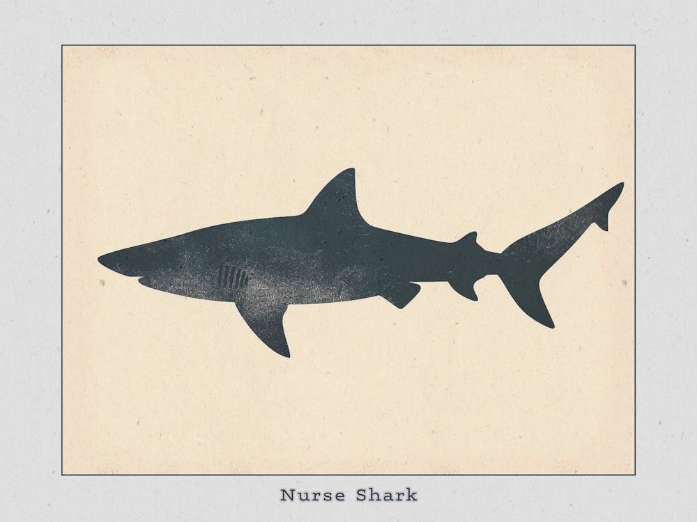 Nurse Shark Grey Silhouette 4 Poster