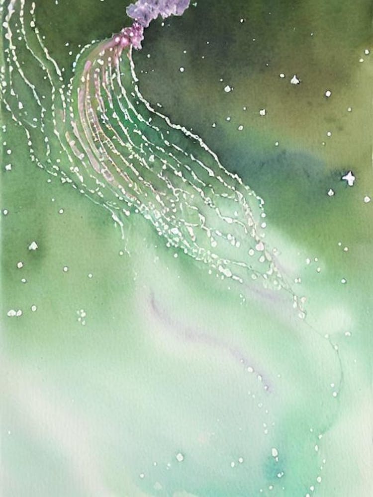 Siphonophore Storybook Watercolour