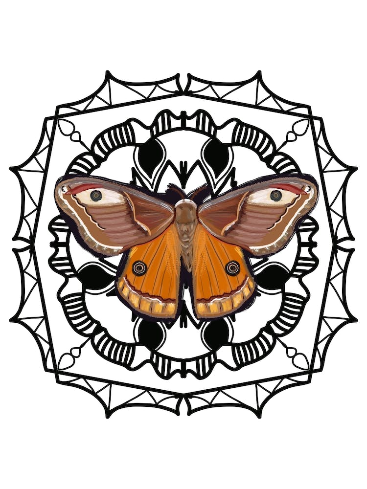 Mandala Butterfly