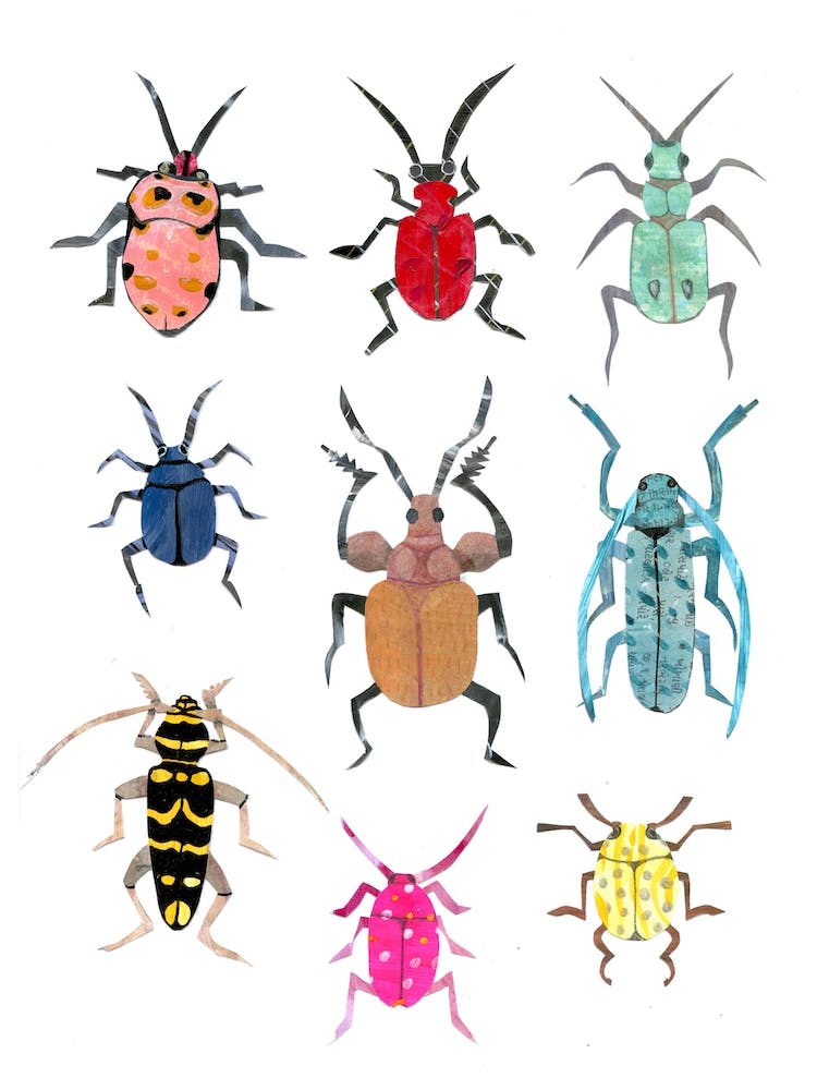 Bussy Beetles Farbenfroh