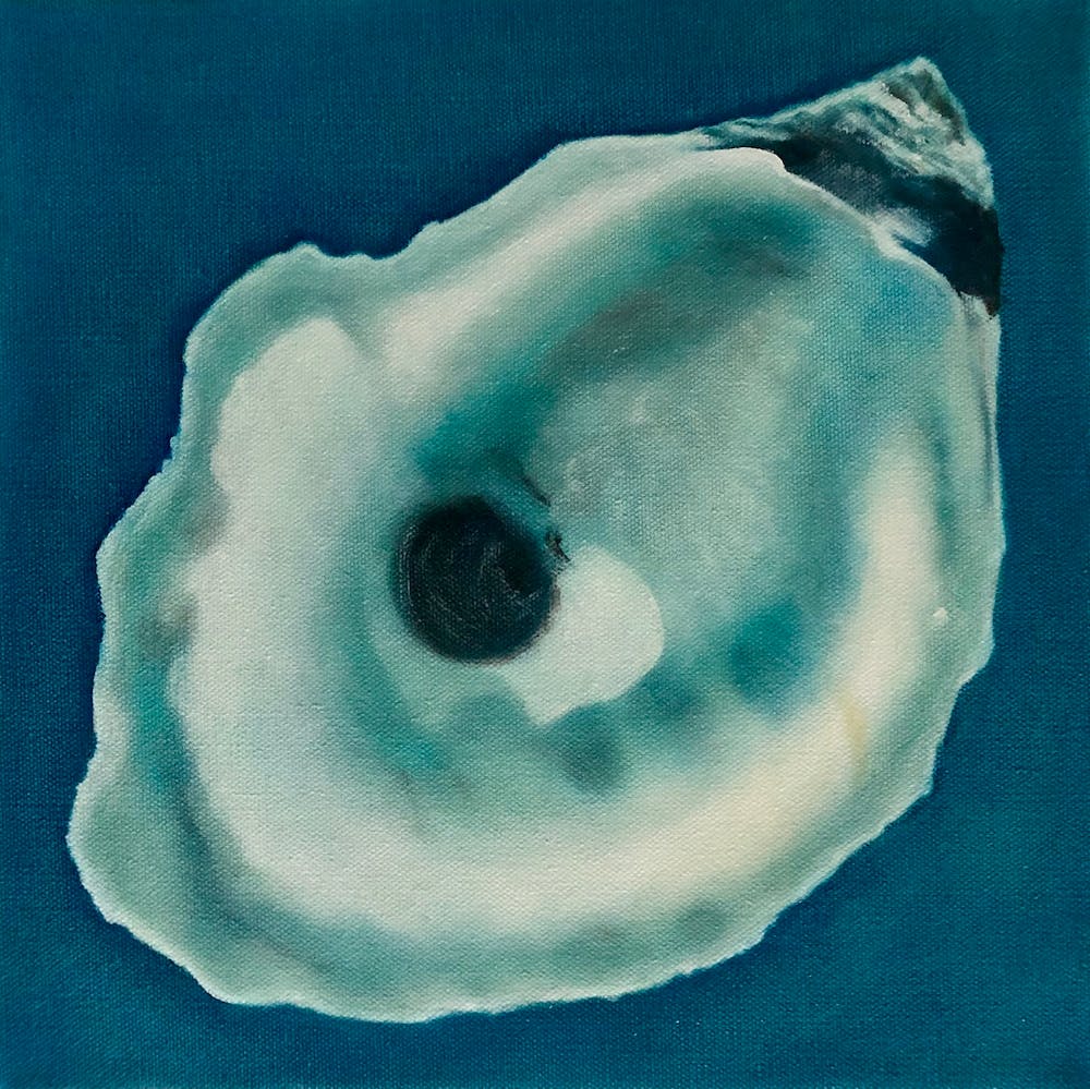 Oyster Shell 3