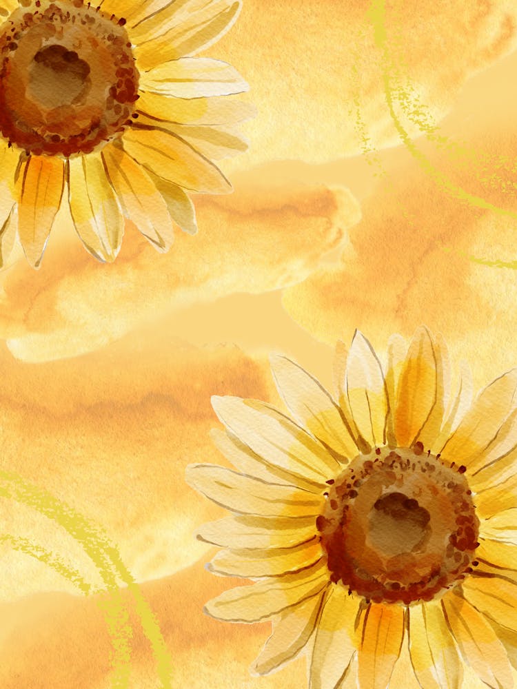 Sunflowers 4