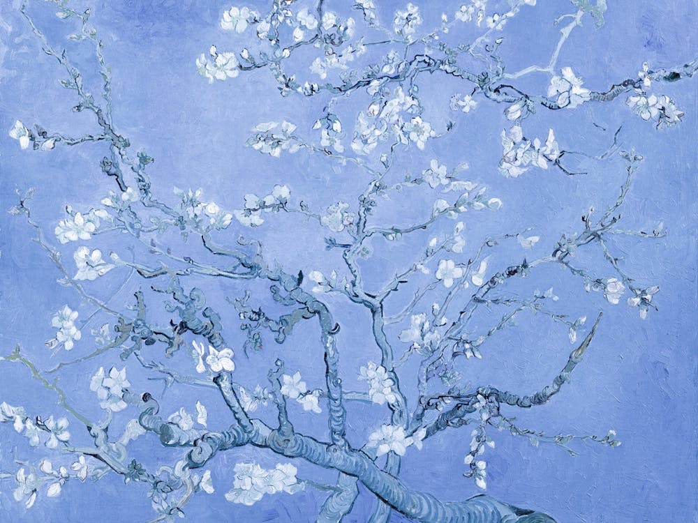 Vincent Van Gogh 