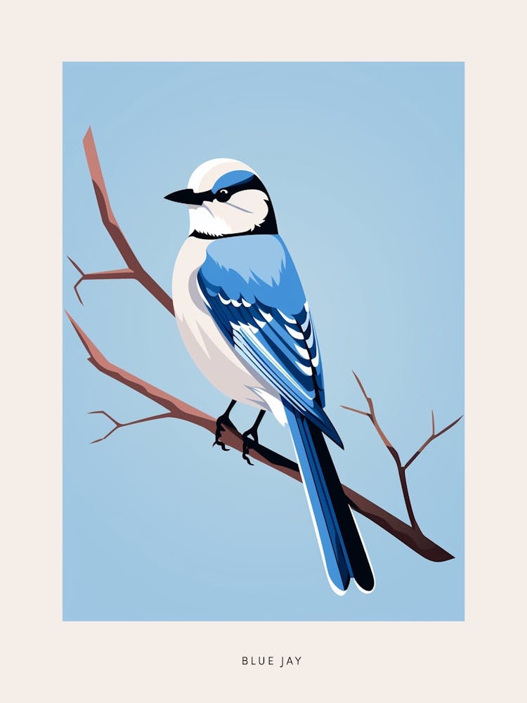 Minimalist Blue Jay 3 Bird Poster