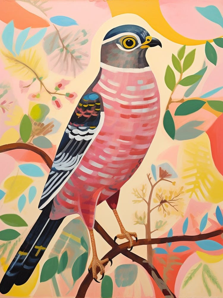 Pink Scandi Eurasian Sparrowhawk 3