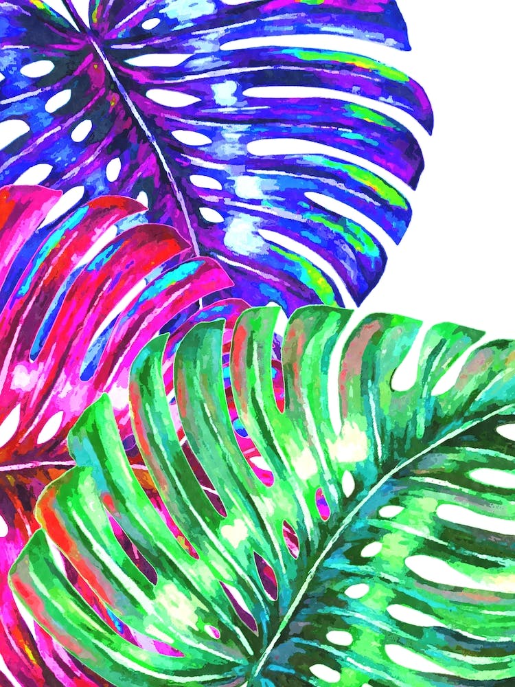 Colorful Monstera Leaves Illustration