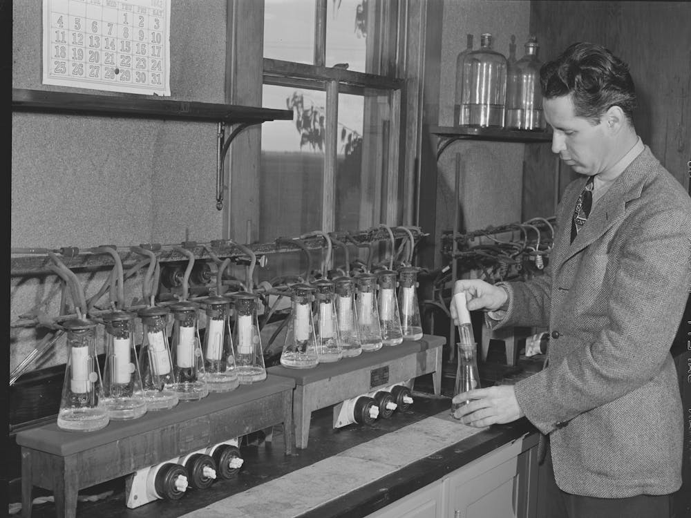 Salinas, California, Intercontinental Rubber Producers, Harry Baucher, Head Chemist, Runs Rubber Extraction Tests O