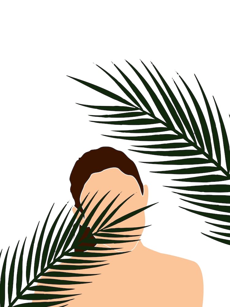 Tropical Reverie Among The Palms