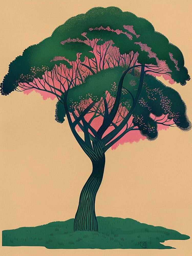 Acacia Tree Colourful Illustration 3 1