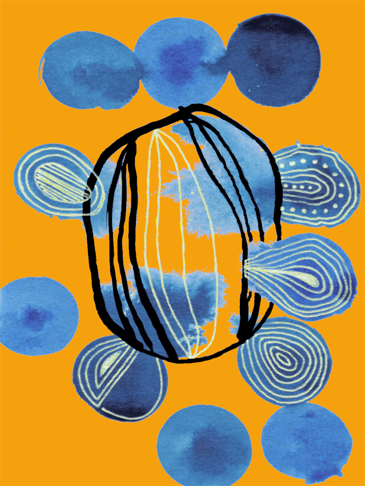 Blue Orange