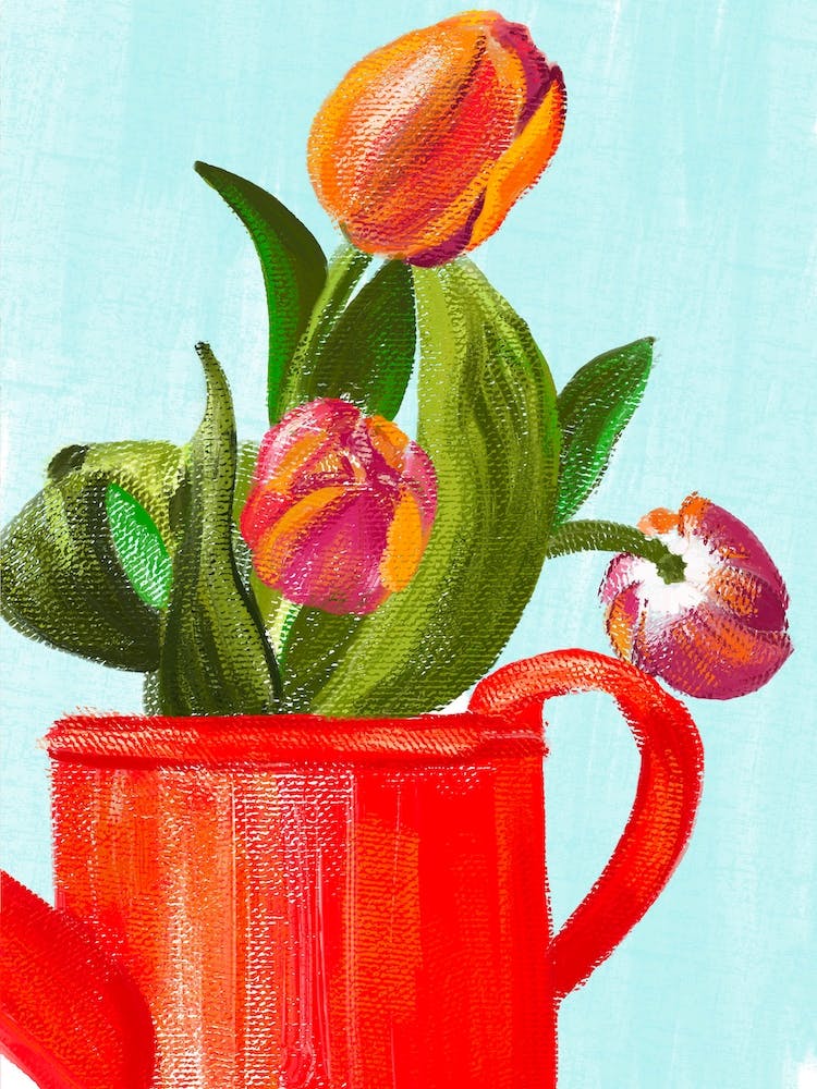 Red Tulips