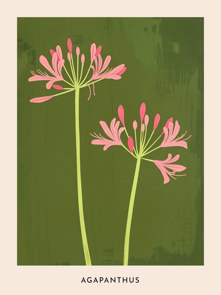 Pink & Green Agapanthus 2 Flower Poster