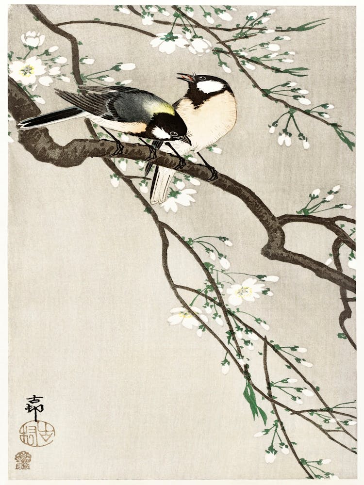 Tits On Cherry Branch (1900 1910), Ohara Koson