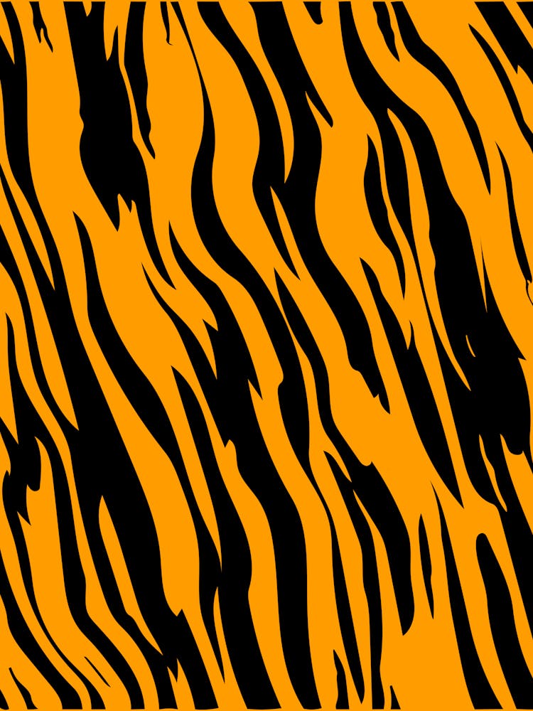 Tiger Stripes 2