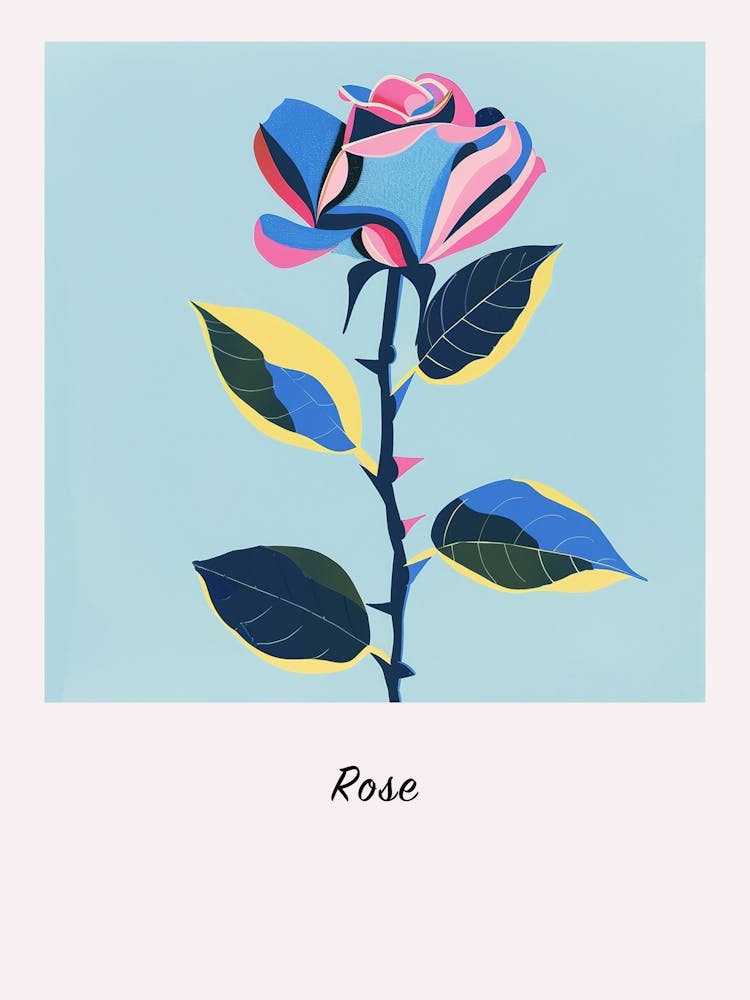 Rose 2 Square Flower Illustration Poster