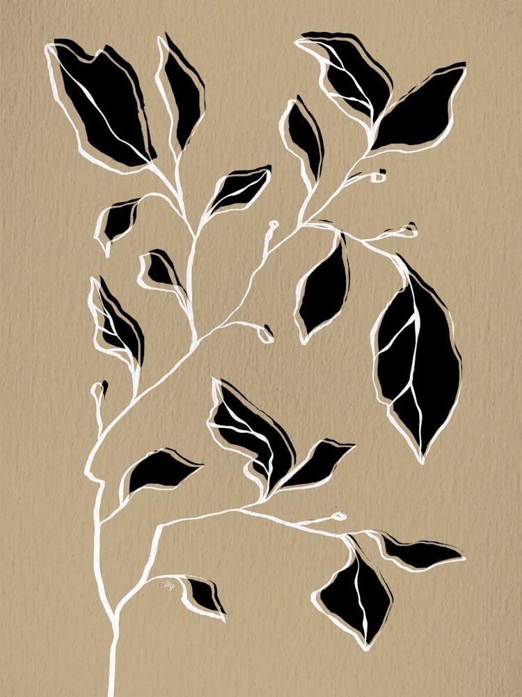 Plante Sèche