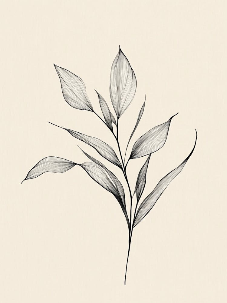 Drawing Of A Leaf
