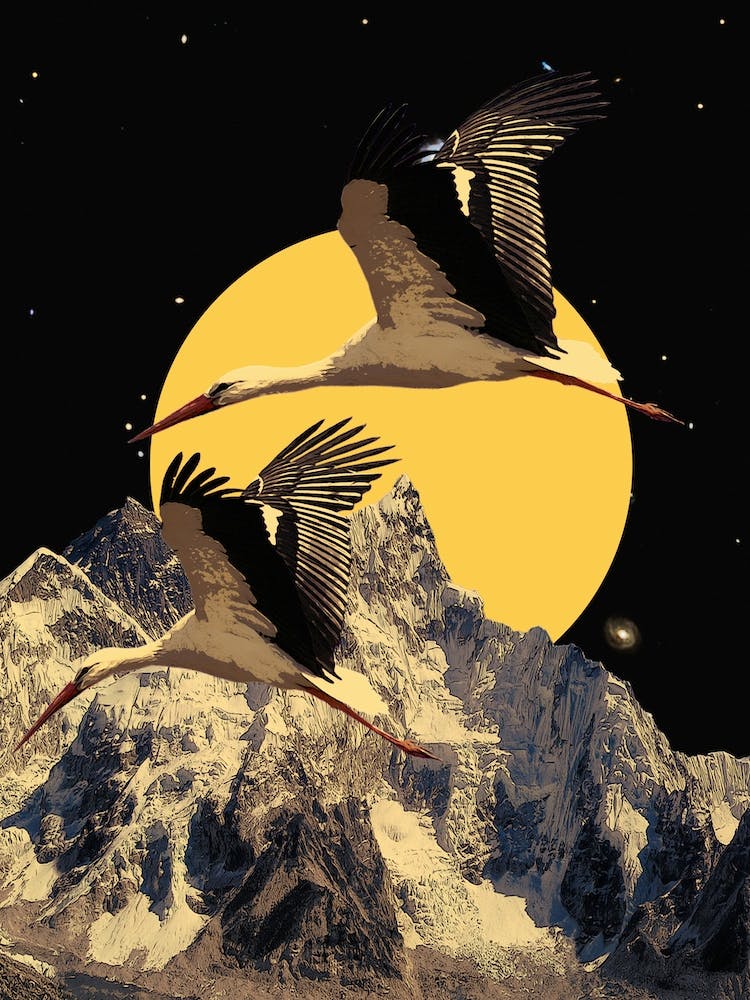 Minimal Japanese Storks Flying In Mountain Scene