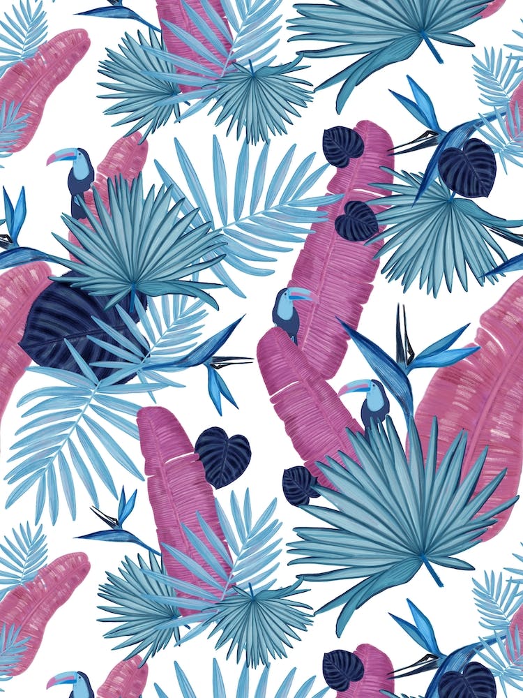 Pink Blue Palm Toucan