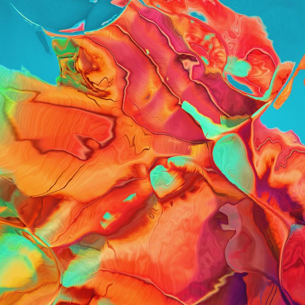 Blossoming Into Something New