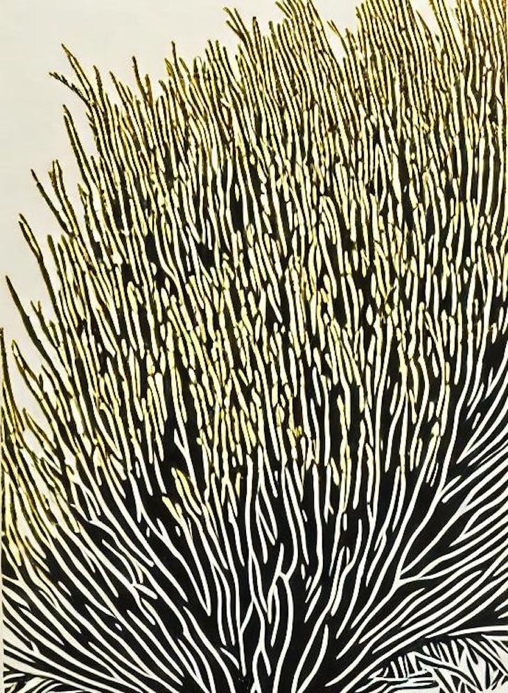 Acropora Humilis Ii Linocut