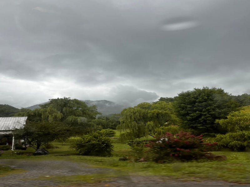 Stormy Day