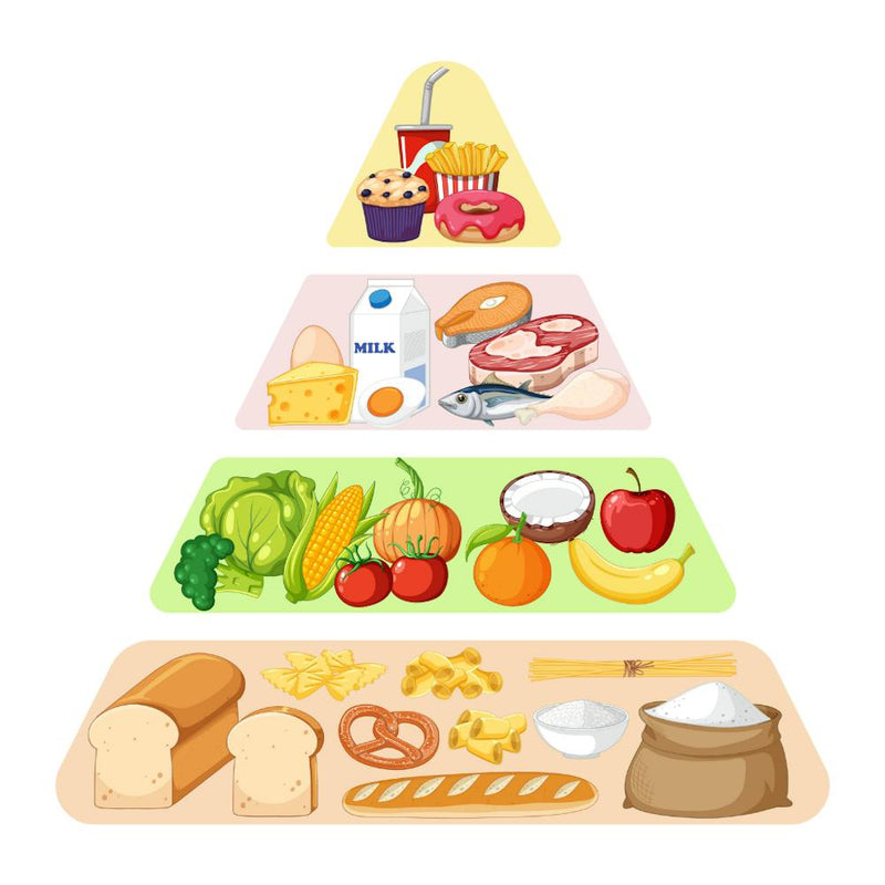 Food Pyramid