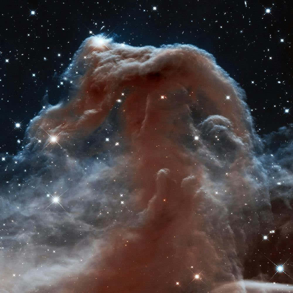 Horsehead Nebula Illuminated By Sigma Orionis, Nasa