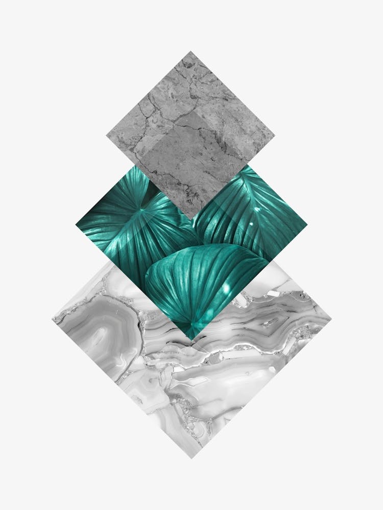 Geometric and botanical 7