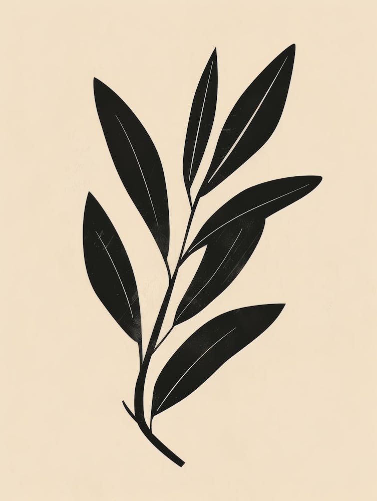 Olive Branch 2