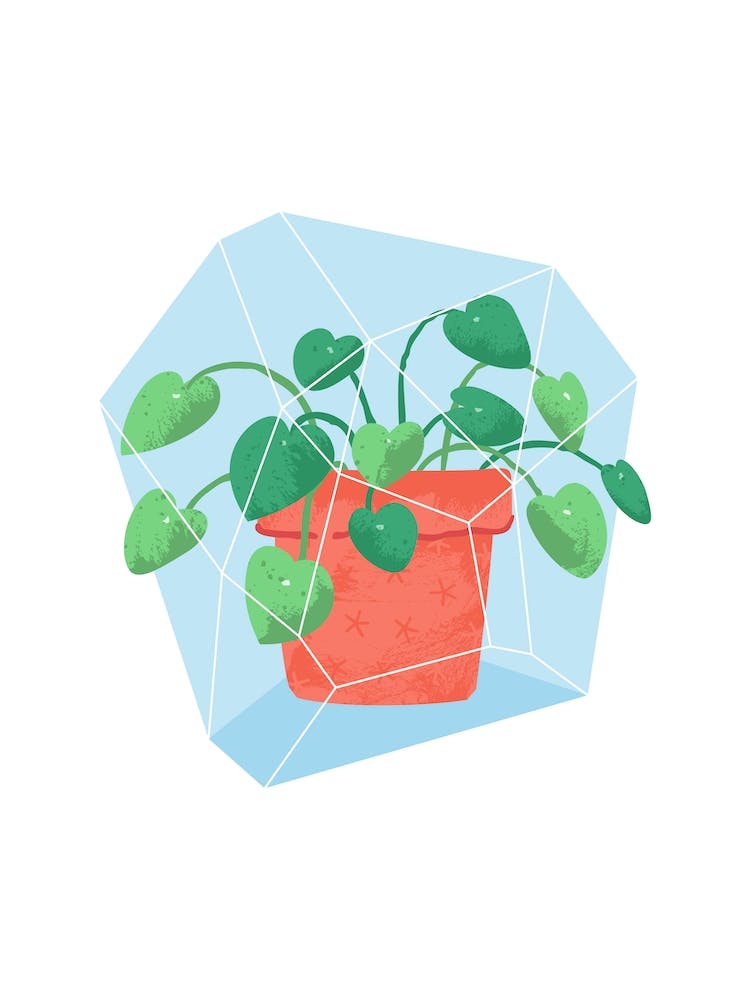 Potted Plant #1