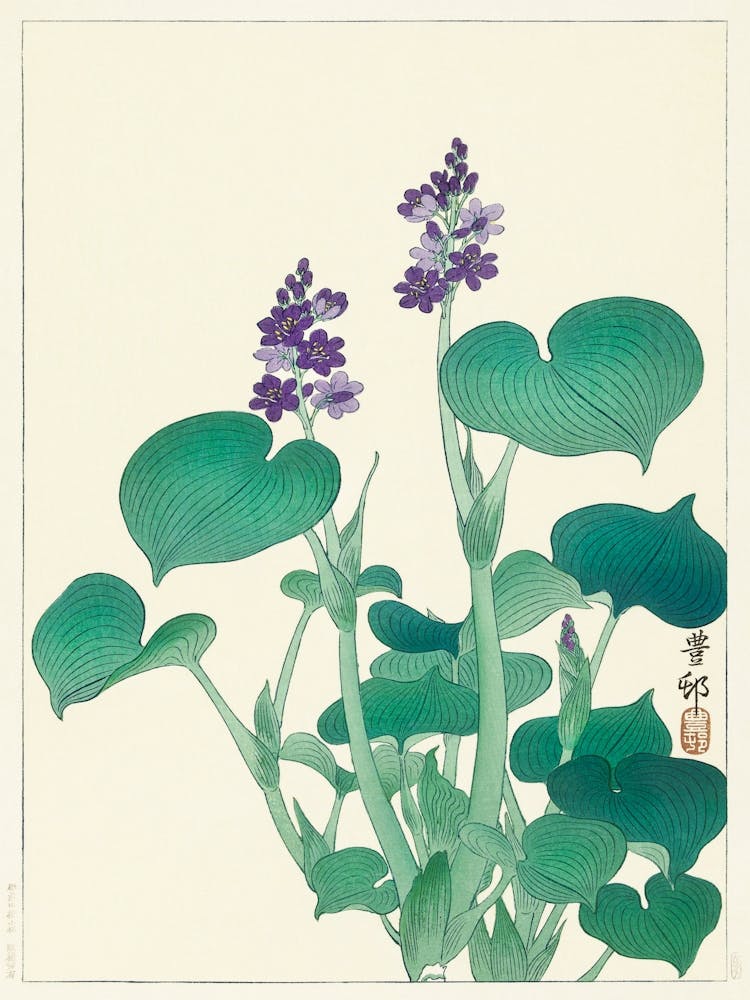 Blooming Hosta, Ohara Koson