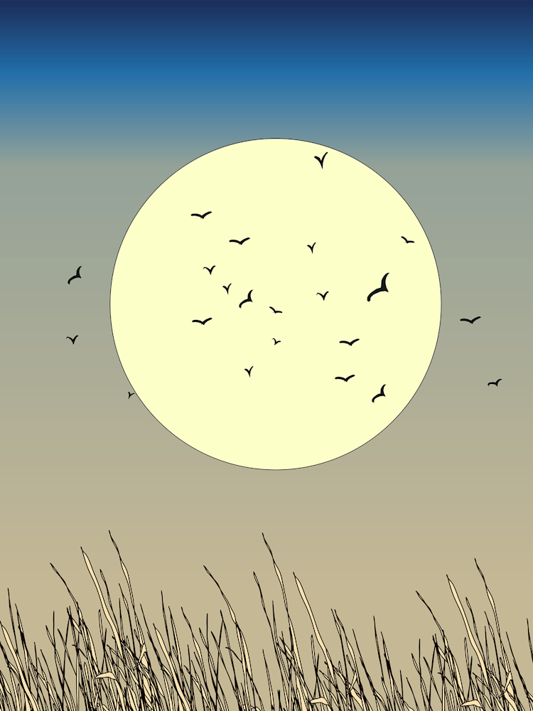 Full Moon In The Sky