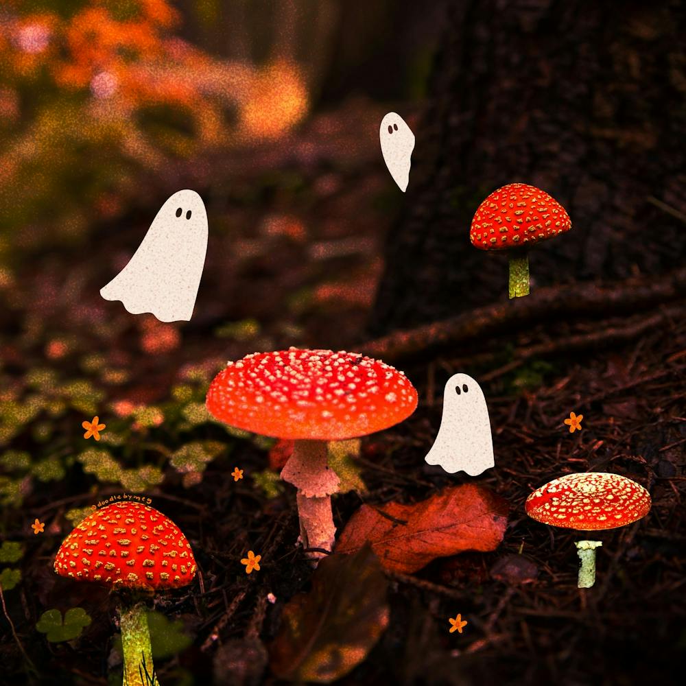 Autumn Ghost Forest Collage