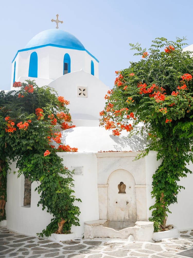 Greek Island Church Orange Flowers