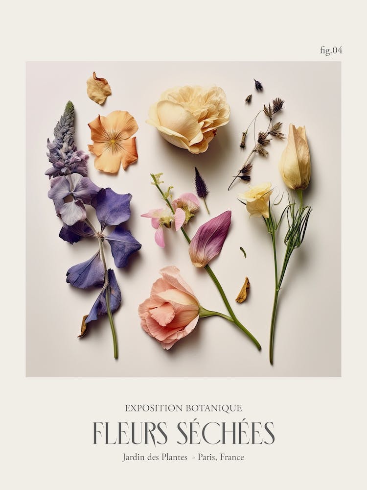 Fleurs Sechees, Dried Flowers Exhibition Poster 04